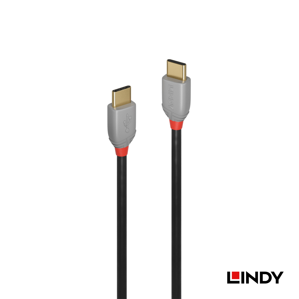 林帝 USB 2.0 TYPE-C 公:公 傳輸線-1M